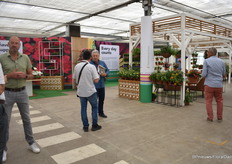 Publiek op de PanAmerican Seed locatie.